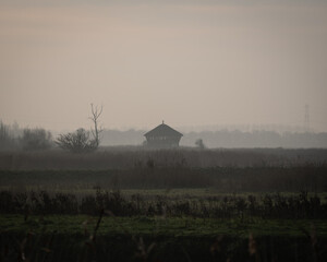 Wooden observation hut emerging from dense morning mist in a quiet wetland landscape. Soft light...