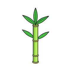 Fototapeta premium Green bamboo stalk with bright leaves on black