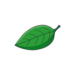 Naklejka premium Simple green leaf illustration with veins on a black background