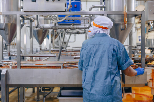 Food cannery industry, Hygiene worker work at canned fish factory, Canned food factory