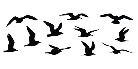 Flock of seagulls in flight silhouettes against a white background birds flying © MdAbdur