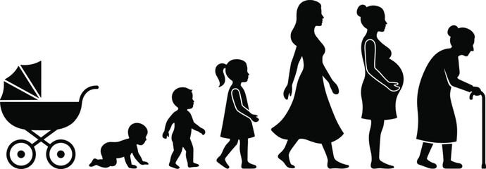 Woman life cycle silhouette sequence, female growth stages from baby to elderly isolated on white background conceptual illustration