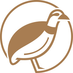 Vector Quail bird logo design
