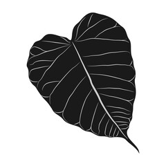 Bodhi leaf silhouette vector design for Vesak Day eps 2