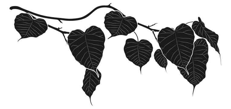 Bodhi leaf silhouette vector design for Vesak Day eps 3