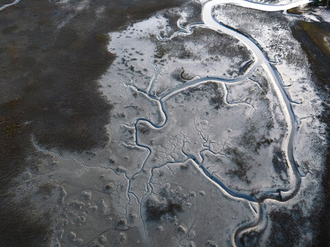 USA, Aerial view of a cotton field on the Eastern Shore of Virginia