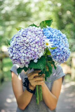 Unrecognizable young woman hiding behind a bouquet of hydrangeas