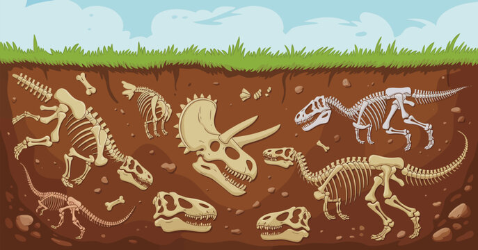 Archaeology and Paleontology Dinosaur Fossils in Soil Layers Vector Background Featuring Cartoon Tyrannosaurus, Triceratops and Diplodocus Skeleton Bones, Skull Remains, Brown Dirt and Grass