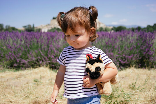 France, Grignan, portrait of baby girl with soft toy in front of lavender field
