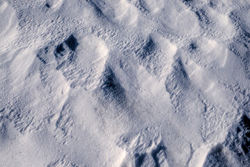 Snow fills the background. Snow layer.