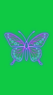 butterfly neon lights shiny glowing on green screen animation,chroma key meditaton relaxing spiritual vertical social media isolated motion design element
