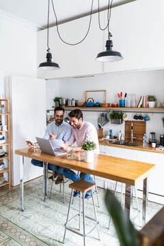 Two young men working together in kitchen, using laptop, discussing documents