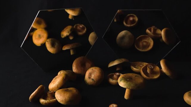 Fresh forest mushrooms styled on dark surface with cinematic reflections and warm lighting