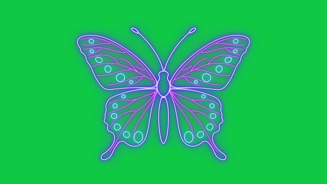 butterfly neon lights shiny glowing on green screen animation,chroma key meditaton relaxing spiritual social media isolated motion design element