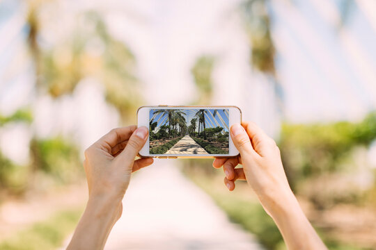 Spain, Valencia, Ciudad de las Artes y de Las Ciencias, L'Umbracle, woman taking cell phone picture at palm garden