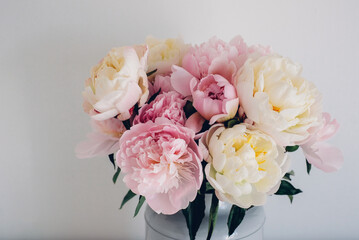 Beautiful bouquet of fresh colorful peonies in full bloom in vase against white background. Floral spring still life.