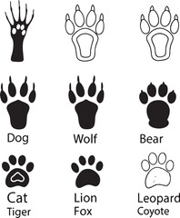 Fototapeta premium paw prints vector