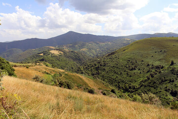 Fototapeta premium Sierra de los Ancares Toward O Cebreiro July 2024 Rocky path