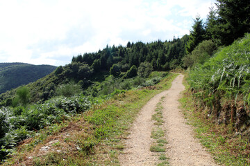 Rocky Mountain Dirt Path to O Cebreiro July 2024