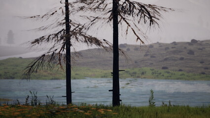 Tall, slender trees stand near a tranquil lake surrounded by lush greenery. A gentle mist blankets the area, creating a peaceful and dreamy atmosphere as dusk settles in.
