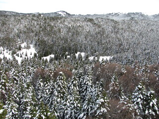 Panoramic Winter Wilderness for Nature Tourism