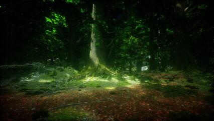 Fototapeta premium In a quiet forest, warm sunlight dapples the ground, highlighting the rich greens and earthy browns. Tall trees surround a peaceful clearing, inviting exploration and tranquility.