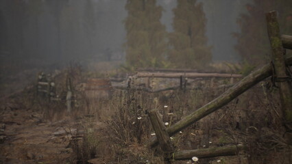 Amidst the misty forest, weathered wooden fences stand guard over wildflowers and tall grass, creating a peaceful and serene atmosphere in the early morning light.