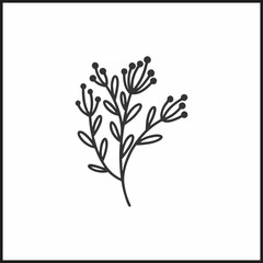 Obraz premium Minimalist Botanical Line Art Illustration with Leaves and Berries