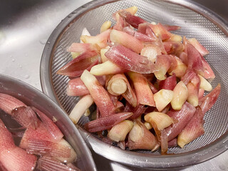 茎みょうが みょうがの茎