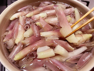 茎みょうが みょうがの茎