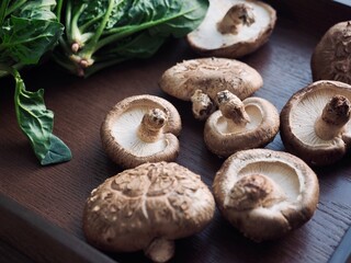 신선한 유기농 표고버섯