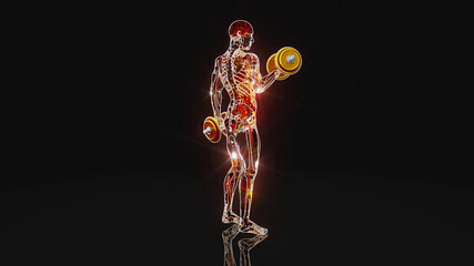 Naklejka premium Conceptual 3D illustration of a person doing biceps curls