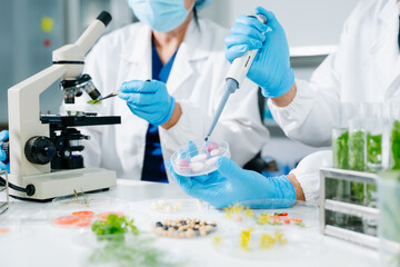 Fototapeta premium Scientists conducting biotechnology research in laboratory, testing plant and food samples for GMO analysis, nutrition safety, pharmaceutical development and innovation.