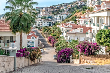 Naklejka premium Horizontal shot of a bright Mediterranean street in Alanya with a large palm tree and vibrant bougainvillea flowers. The image captures the sunny atmosphere of a luxury residential district in Turkey