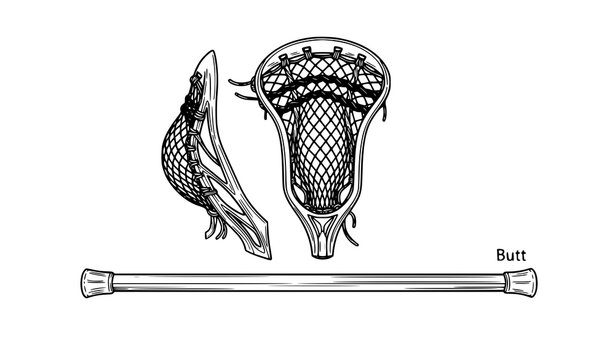 Lacrosse stick vector illustration hand drawn for print and clipart