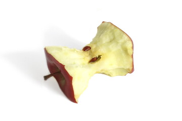 Naklejka premium There is an apple core lying on a white background.