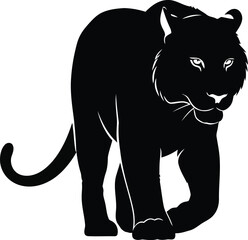 Black panther vector illustration © artisyancanvas