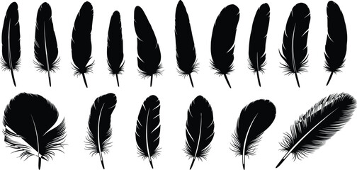 Set of black bird feather silhouettes isolated on white background, various plume shapes for graphic design, decorative quill wing elements © RABBI