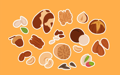 Obraz premium Collection of different nuts. Peanut, walnut, hazelnut, pistachio, almond and cashew. Concept of healthy food. Products for snack. Vector flat illustration.