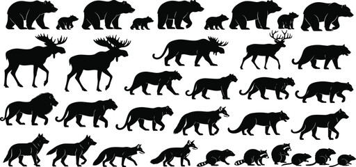 Black silhouettes of various wild animals, including bears, moose, deer, lions, wolves, foxes, raccoons, and rodents, isolated on white background. © RABBI