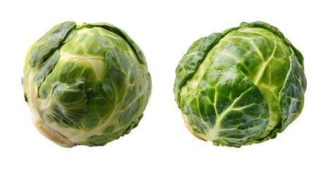 Fototapeta premium Fresh green cabbage head isolated on transparent background