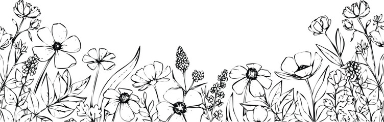 Hand Drawn Wildflower Border with Leaves and Stems Simple Line Art Isolated on White Background
