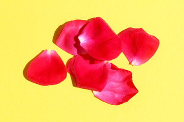 Fototapeta premium There is a pile of red rose petals on a yellow background.