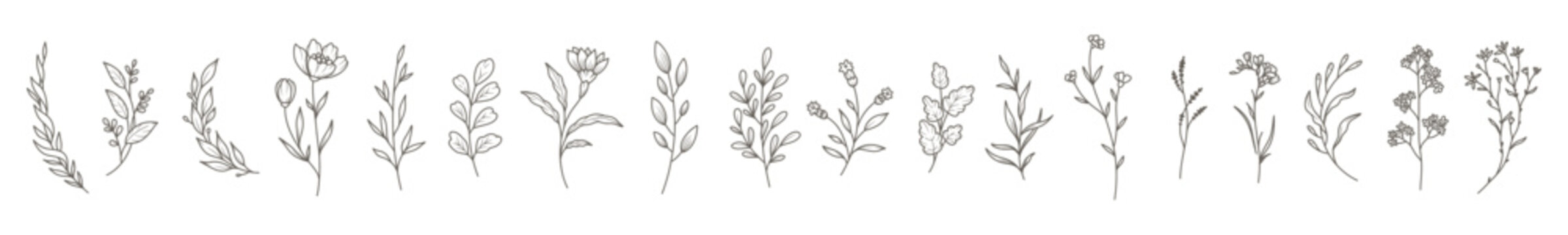 Floral botanical line art set. Trendy elegant thin flowers, branches, leaves, herbs. Vector hand drawn illustration for logo or tattoo, wedding invitation, save the date card 