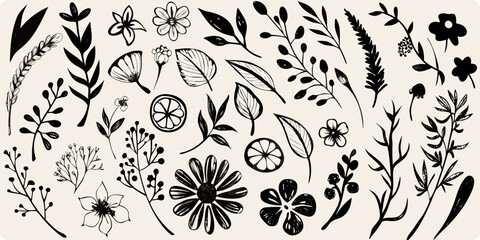 Botanical illustration with various hand drawn flowers leaves and citrus slices © Sujal