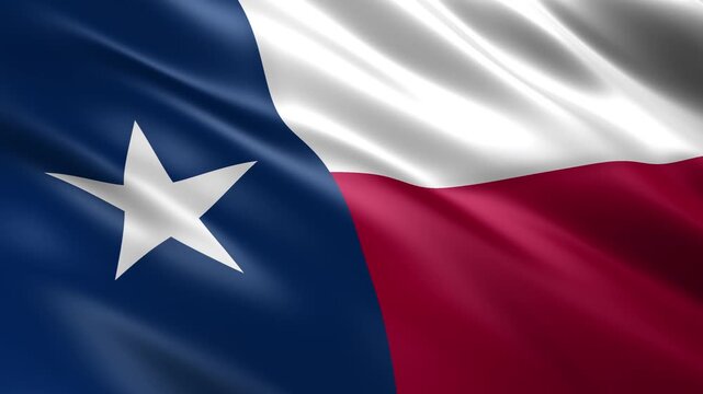 waving texas state flag animation background loop