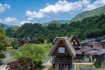 Fototapeta premium Traditional rice fields and gassho houses in Shirakawa-go village, Japan