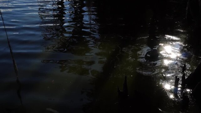 The splendour of light moves across the left side of the water. A series of small waves glides tenderly over the surface of the lake.