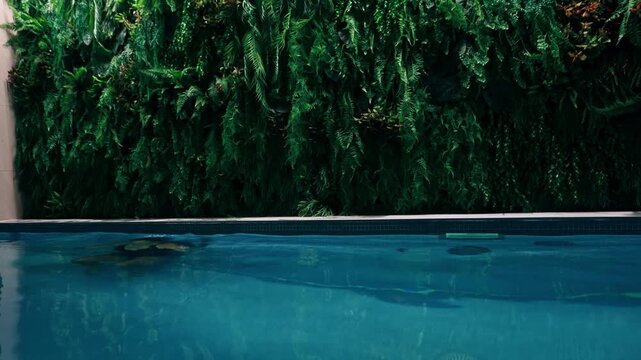 Woman swimming in a pool with a vertical garden wall