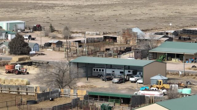 Purcell Ranch in Northern Colorado. Weld county cattle ranchers.
